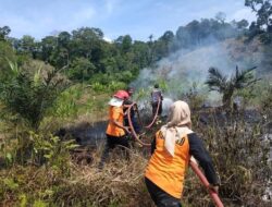 Sebanyak 64 Kasus Kebakaran Terjadi di Kabupaten Sijunjung