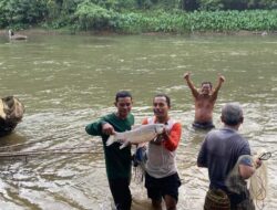 Lubuk Larangan Batang Takuang: Kearifan Lokal yang Menjaga Ekosistem dan Merekatkan Persaudaraan