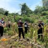 Satlantas Polres Sijunjung Panen Jagung Bersama Warga Batu Gandang